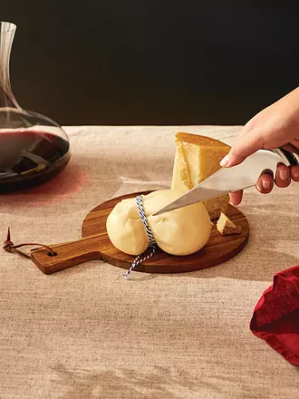 ALESSI | Cuchillo para queso "Antechinus" |